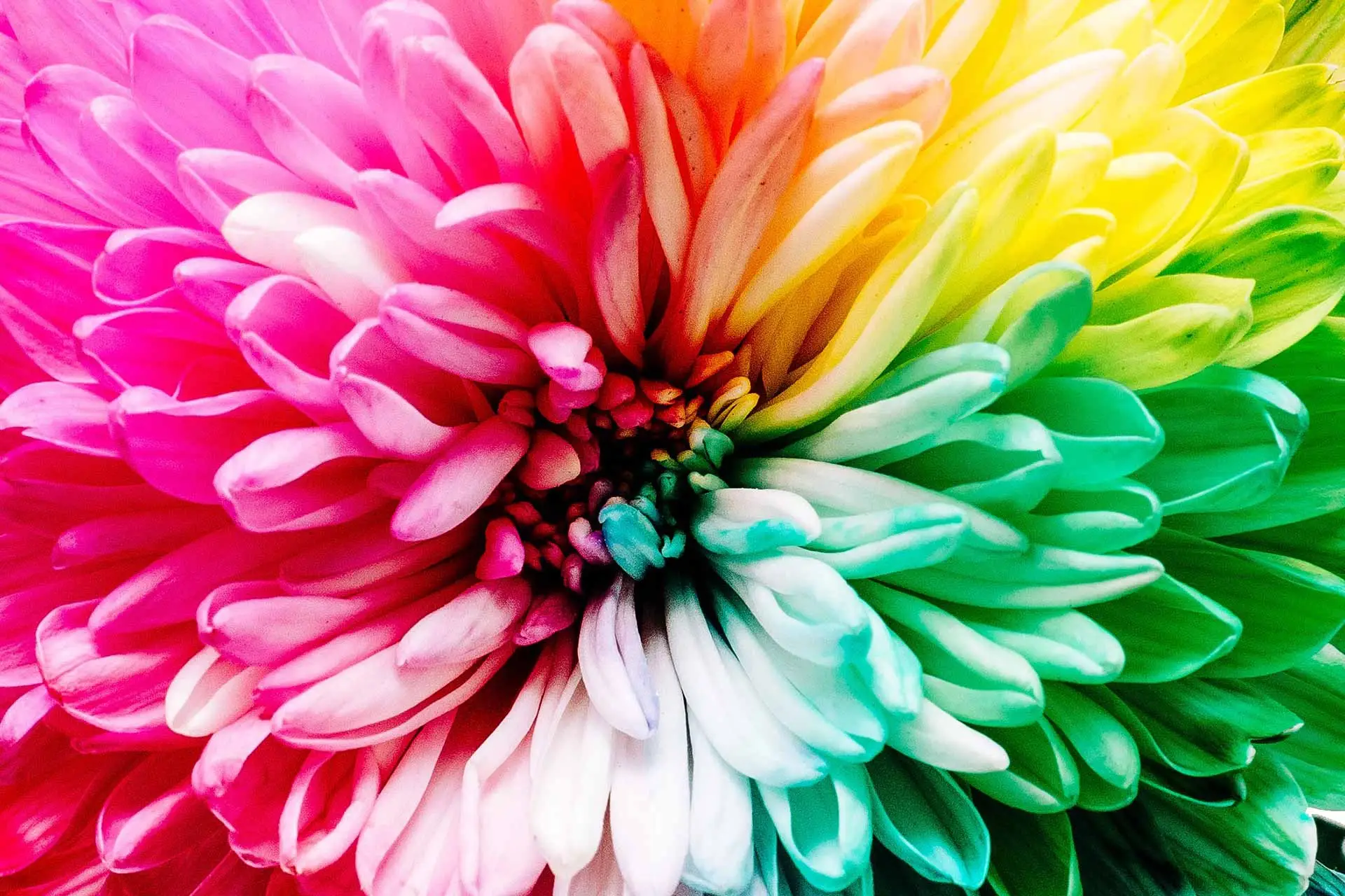 ink-types-for-digital-inkjet-printing-02