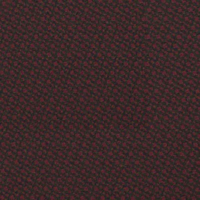 Ambla-Juno-Rosehip-2